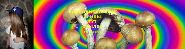 спайс Алзамай
