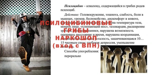 спайс Алзамай
