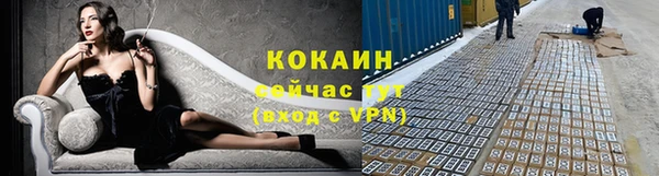 спайс Алзамай